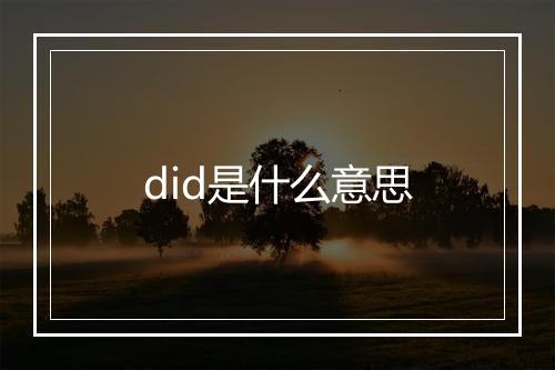 did是什么意思