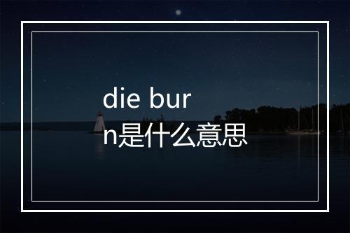 die burn是什么意思