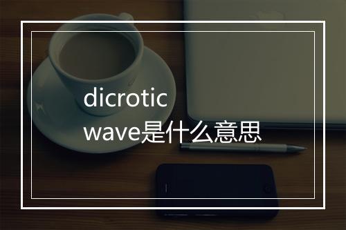 dicrotic wave是什么意思