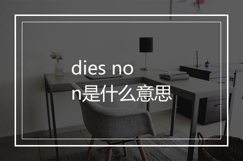 dies non是什么意思