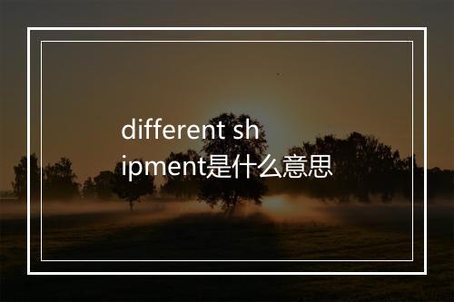 different shipment是什么意思