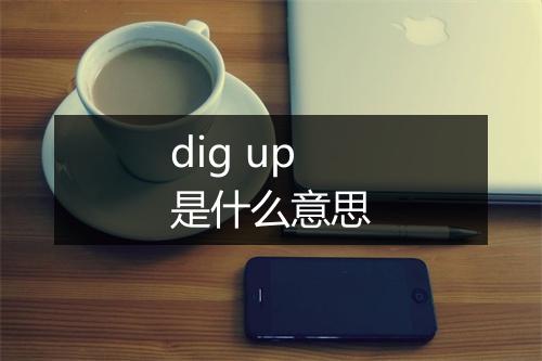 dig up是什么意思