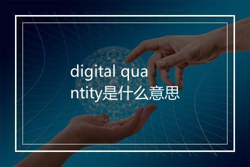 digital quantity是什么意思