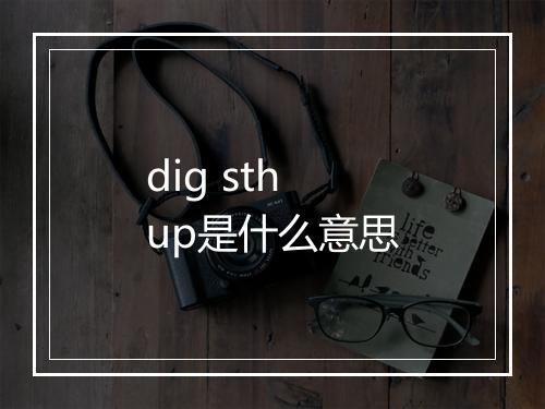 dig sth up是什么意思