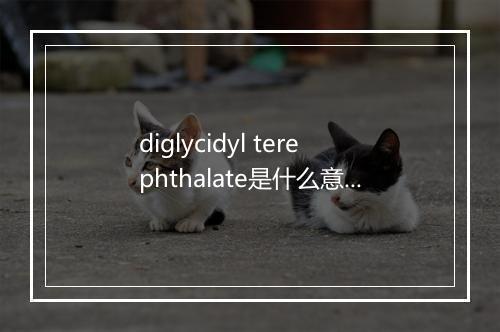 diglycidyl terephthalate是什么意思