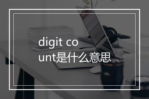 digit count是什么意思