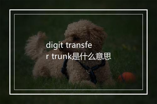 digit transfer trunk是什么意思