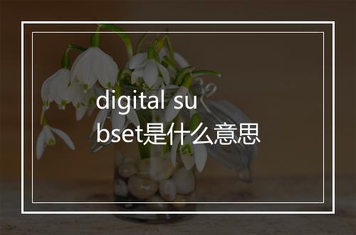 digital subset是什么意思