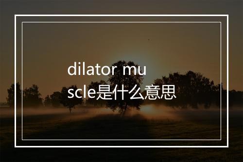 dilator muscle是什么意思