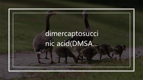 dimercaptosuccinic acid(DMSA)是什么意思