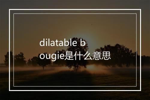 dilatable bougie是什么意思