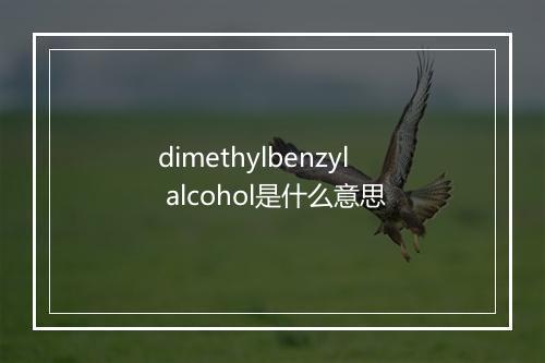 dimethylbenzyl alcohol是什么意思