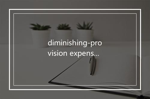 diminishing-provision expense是什么意思