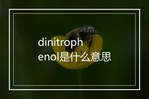 dinitrophenol是什么意思