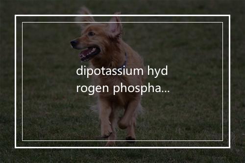 dipotassium hydrogen phosphate是什么意思