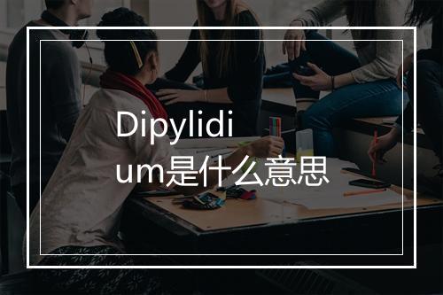 Dipylidium是什么意思