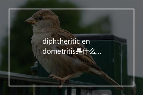 diphtheritic endometritis是什么意思