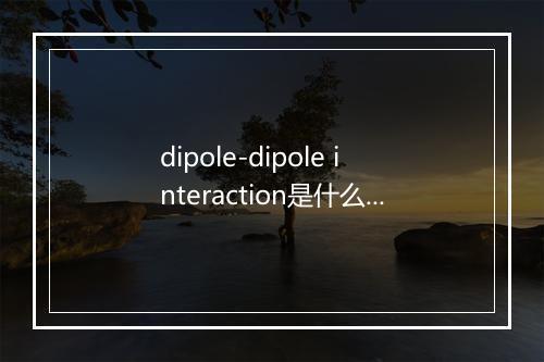 dipole-dipole interaction是什么意思