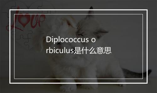 Diplococcus orbiculus是什么意思