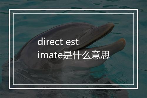 direct estimate是什么意思