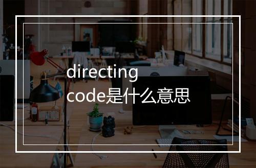 directing code是什么意思