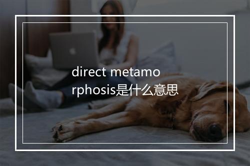 direct metamorphosis是什么意思