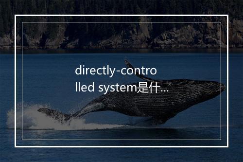 directly-controlled system是什么意思