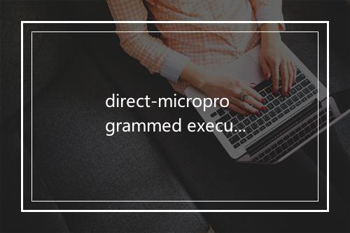 direct-microprogrammed execution是什么意思