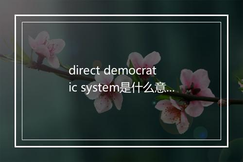 direct democratic system是什么意思