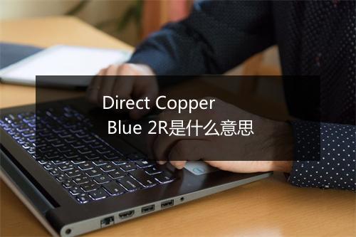 Direct Copper Blue 2R是什么意思