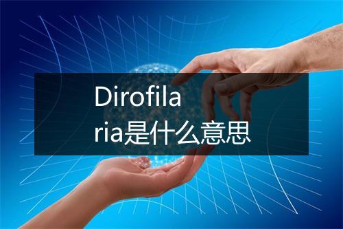 Dirofilaria是什么意思