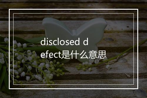 disclosed defect是什么意思