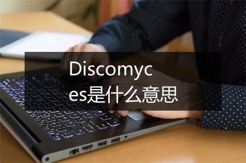 Discomyces是什么意思