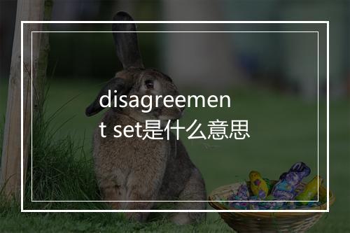 disagreement set是什么意思