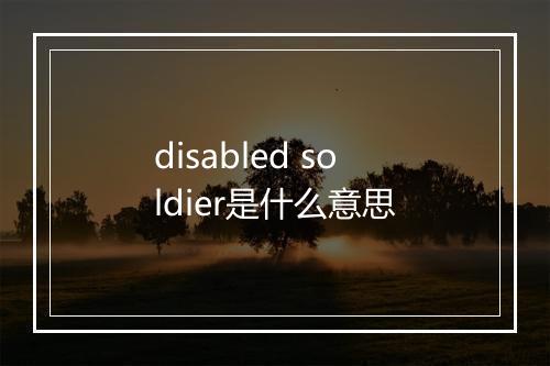 disabled soldier是什么意思