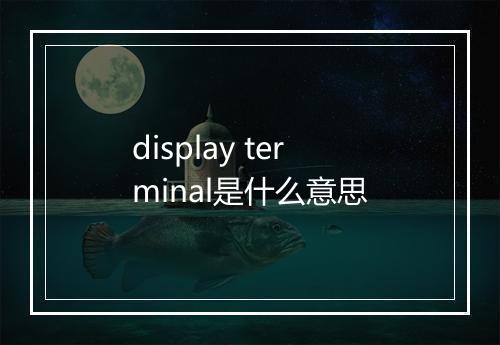 display terminal是什么意思