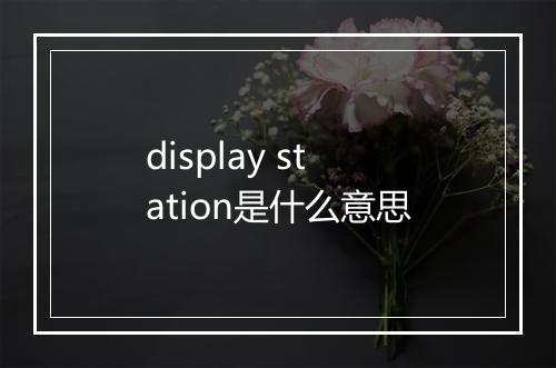 display station是什么意思