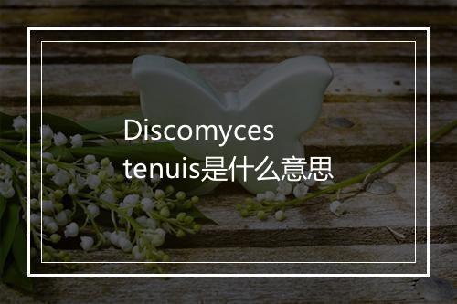 Discomyces tenuis是什么意思