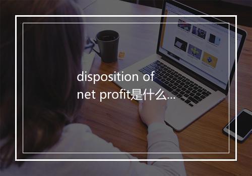 disposition of net profit是什么意思