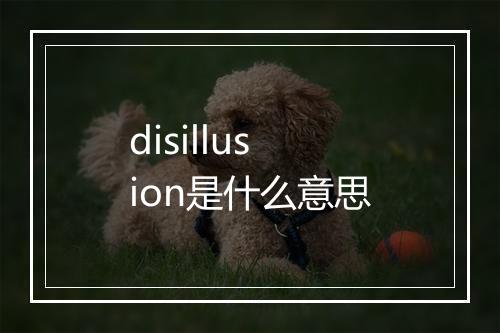 disillusion是什么意思