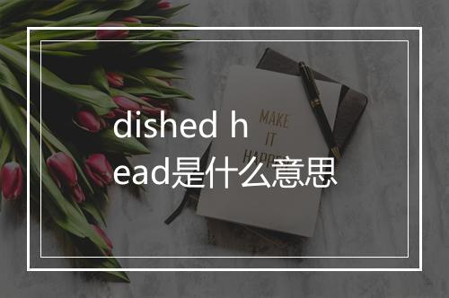 dished head是什么意思