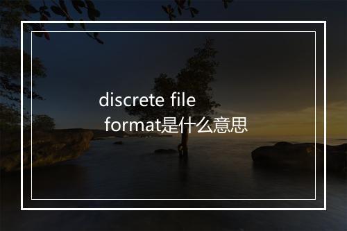 discrete file format是什么意思