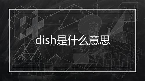 dish是什么意思