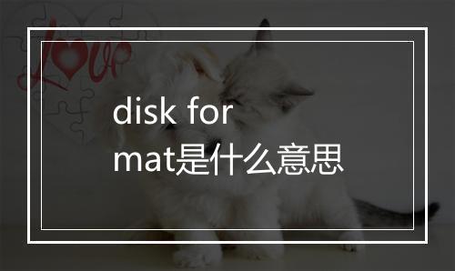 disk format是什么意思