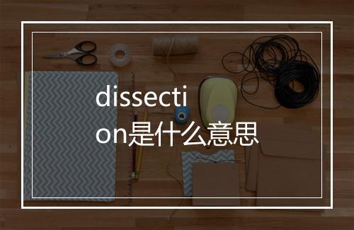 dissection是什么意思