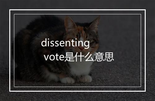 dissenting vote是什么意思