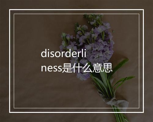 disorderliness是什么意思