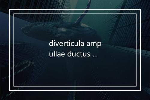 diverticula ampullae ductus deferentis是什么意思