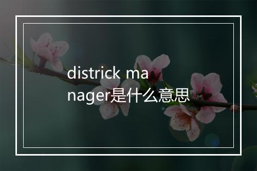 districk manager是什么意思