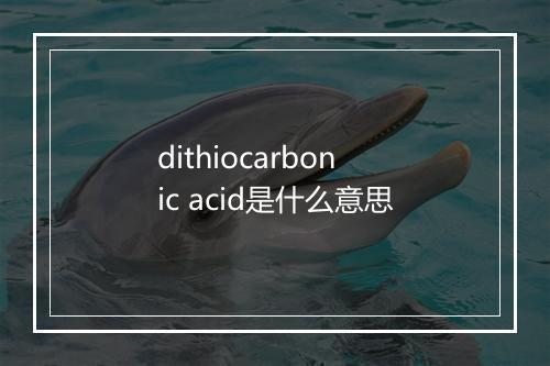 dithiocarbonic acid是什么意思